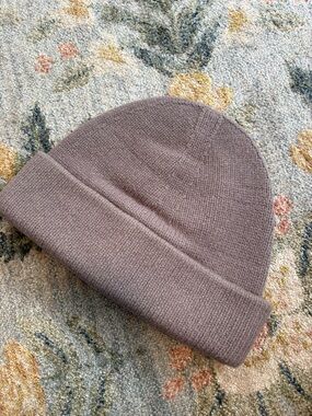 Everlane felted wool hat Beanie